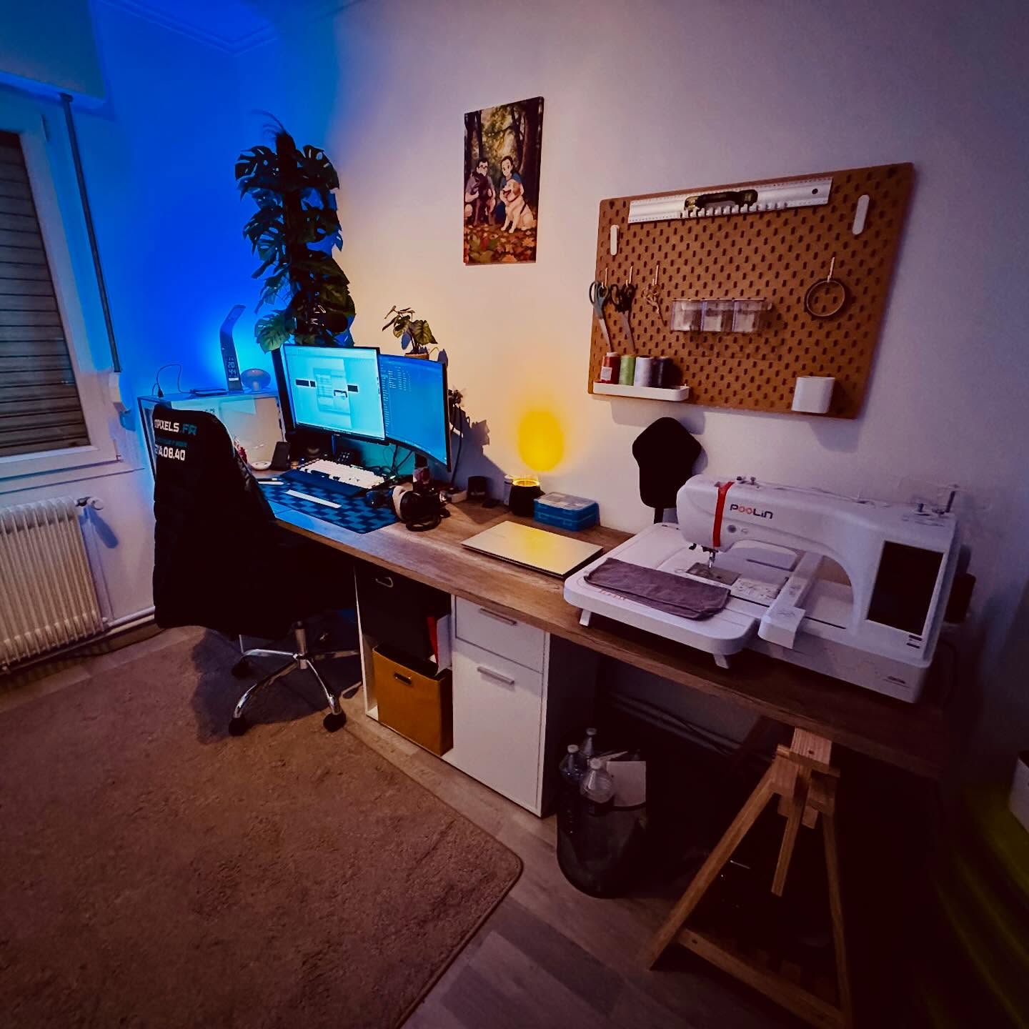 Atelier Multipixels - vue 10